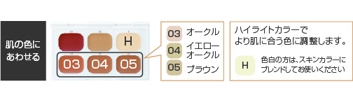 DTカモフラージュコンシーラーの使用方法２