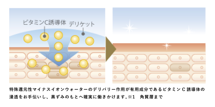 デリケット-point2.気になるお悩みのもとにへアプローチ！水の107倍以上の高い浸透圧を実現